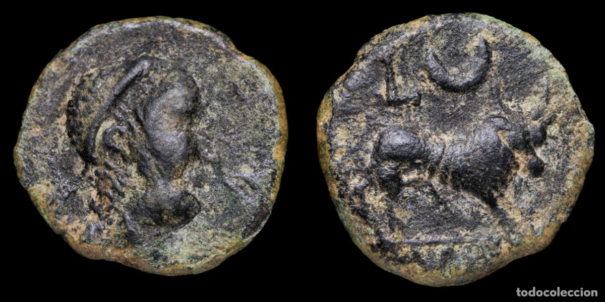 Monedas ib&eacute;ricas: Ancient Hispania Semis, Castulo (Linares, Jaen) - 17 mm / 2,75 gr.