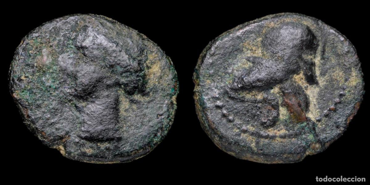 Iberian Coins: 1/4 Calco Hispanic-Carthaginian (Cartagena, Murcia) - 13 mm / 1,45 gr.