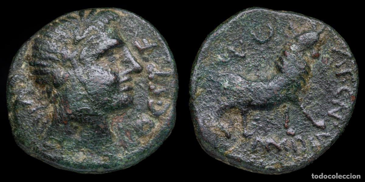 Monedas ib&eacute;ricas: Ancient Hispania Semis Castulo (Cazlona, Jaen) - 23 mm / 8,83 gr.