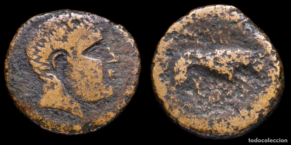 Monedas ib&eacute;ricas: Ancient Hispania Augustus Semis, ILERDA (Lleida, Catalu&ntilde;a) - 22 mm 6,23 gr.