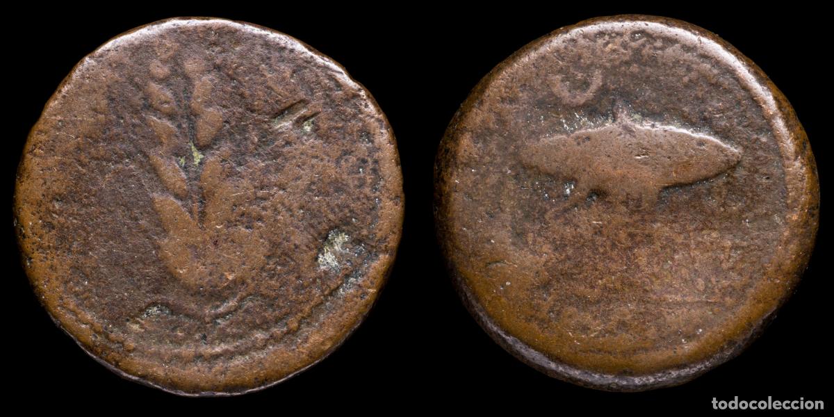 Monedas ib&eacute;ricas: Ancient Hispania As, ILIPENSE (Alcala del Rio, Sevilla) - 31 mm / 17,25 gr.