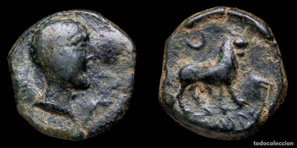 Monedas ib&eacute;ricas: Ancient Hispania Semis, Castulo (Linares, Jaen) - 19 mm / 4,54 gr.