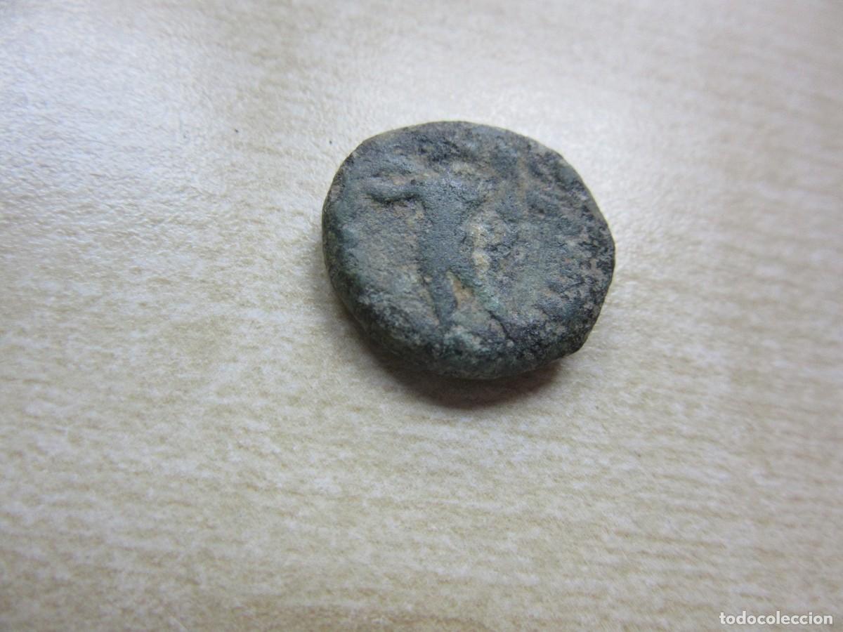 Monedas ib&eacute;ricas: Semis de Corduba (C&oacute;rdoba ) SI AC