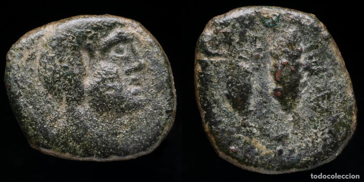 Monedas ib&eacute;ricas: Ancient, Tingis Semis (Tangier) - 21 mm / 4.78 gr.