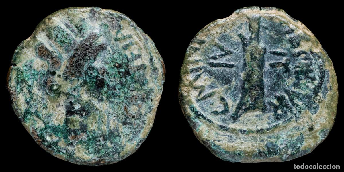 Monedas ib&eacute;ricas: Ancient Hispania Semis, CARTEIA (San Roque, Cadiz) - 20 mm / 5,99 gr.