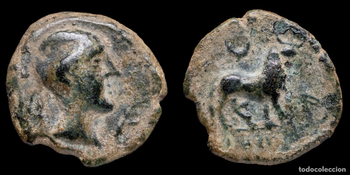 Monedas ib&eacute;ricas: Ancient Hispania - Castulo, Cazlona (Ja&eacute;n) Ae Semis - 19 mm / 4.07 gr.