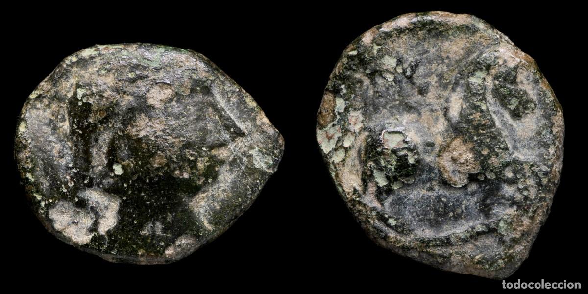 Monedas ib&eacute;ricas: Ancient Hispania Semis, SISAPO (Ciudad Real) - 19 mm / 4.62 gr.