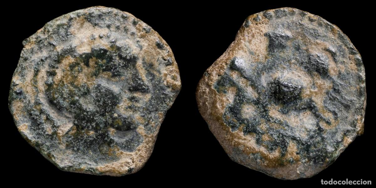 Monedas ib&eacute;ricas: Ancient Hispania Semis, CARISA ( Bornos, Cadiz) - 18 mm / 4,56 gr.Obverse: Male head right. Reverse: