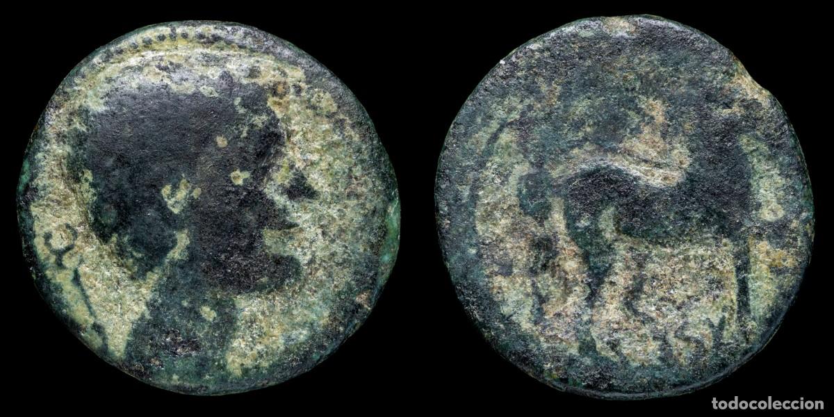Monedas ib&eacute;ricas: Ancient Hispania Quadrans, KESE (Tarragona) - 20 mm / 4,99 gr.