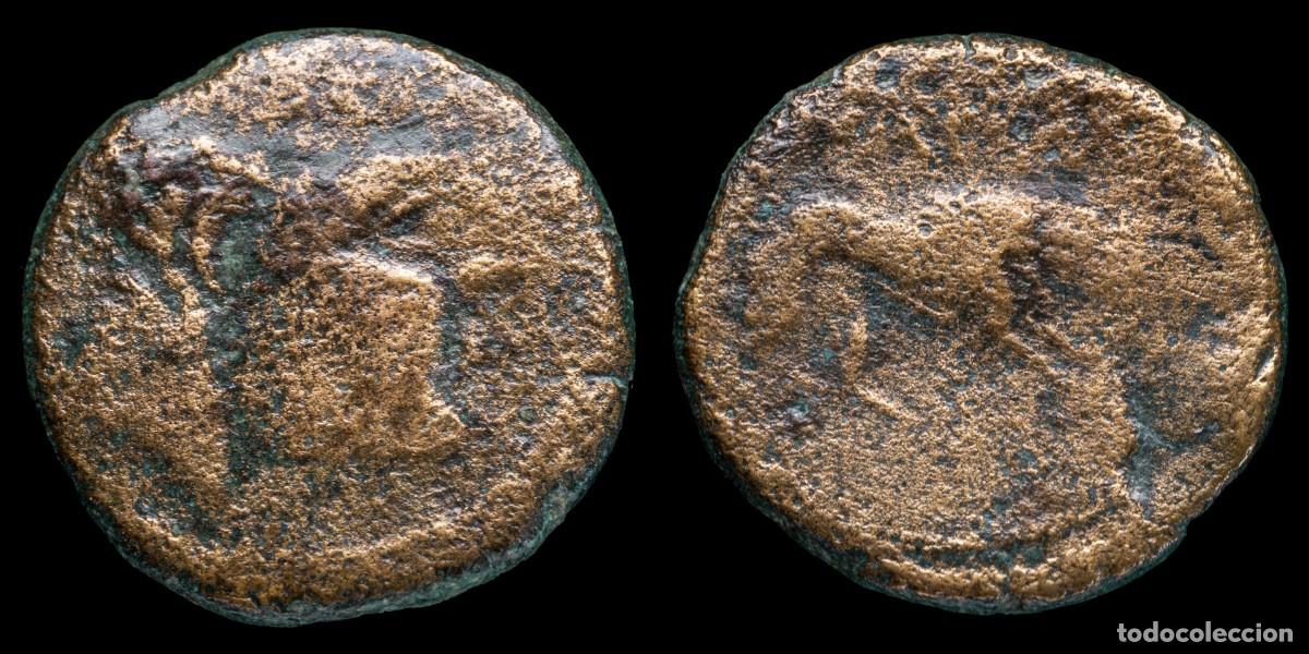 Monedas ib&eacute;ricas: Ancient Hispania Augustus Semis, ILERDA (Lleida, Catalu&ntilde;a) - 21 mm / 6,06 gr.