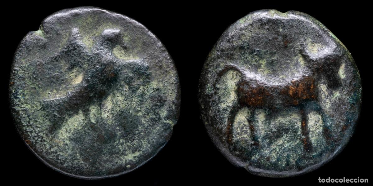 Monedas ib&eacute;ricas: Ancient Hispania Semis, OBULCO ( Porcuna, Jaen) - 21 mm / 6,39 gr.