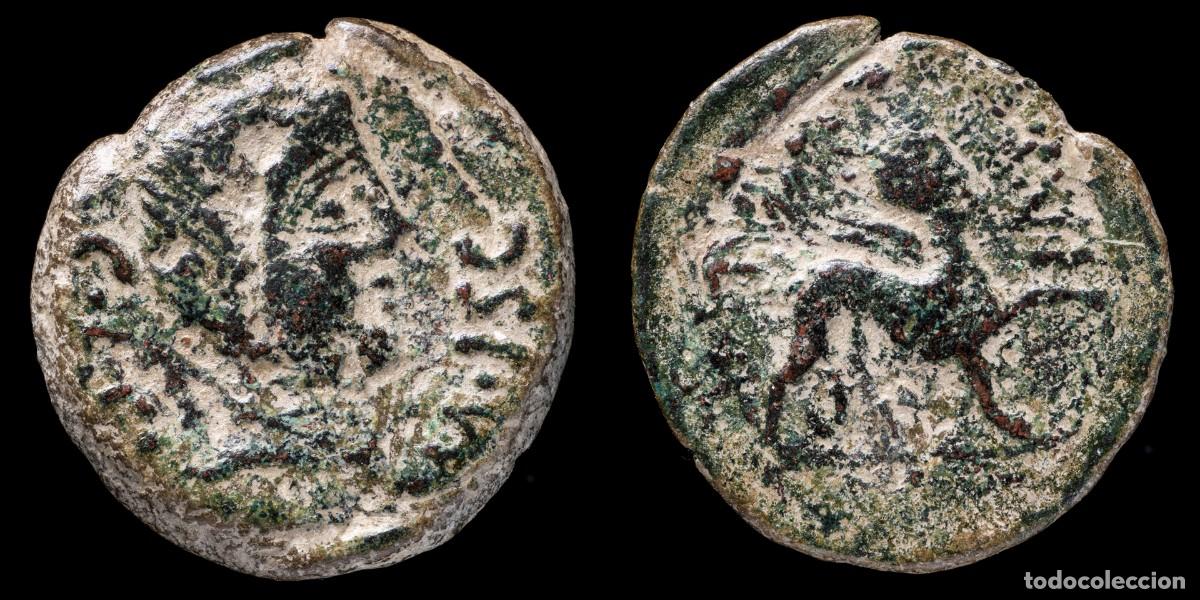 Monedas ib&eacute;ricas: Ancient Hispania As, CASTULO (Cazlona, Jaen) - 29 mm / 14,17 gr.