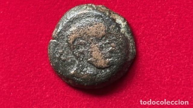 Monedas ib&eacute;ricas: As, Iliberir, 17,7 grs Fab 1175, escasa