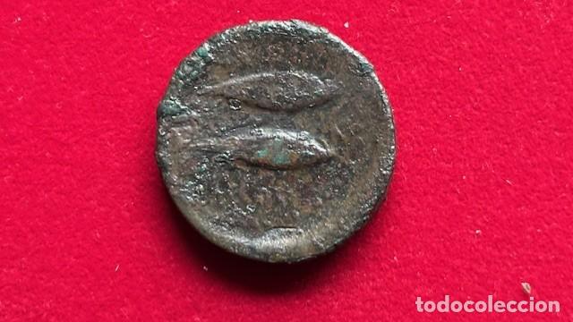 Monedas ib&eacute;ricas: as de agadir 15,4 grs, FAB 1050 - Foto 2