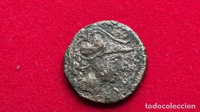 Monedas ib&eacute;ricas: as de Emporiton 9,7 grs, FAB 969, escasa