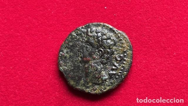 Monedas ib&eacute;ricas: as de Colonia Patricia 9,5 grs, FAB 1563