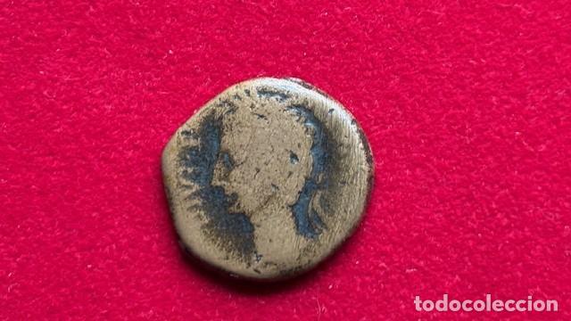 Monedas ib&eacute;ricas: Semis de Ilici 5,1 grs, FAB 1189 - Foto 1