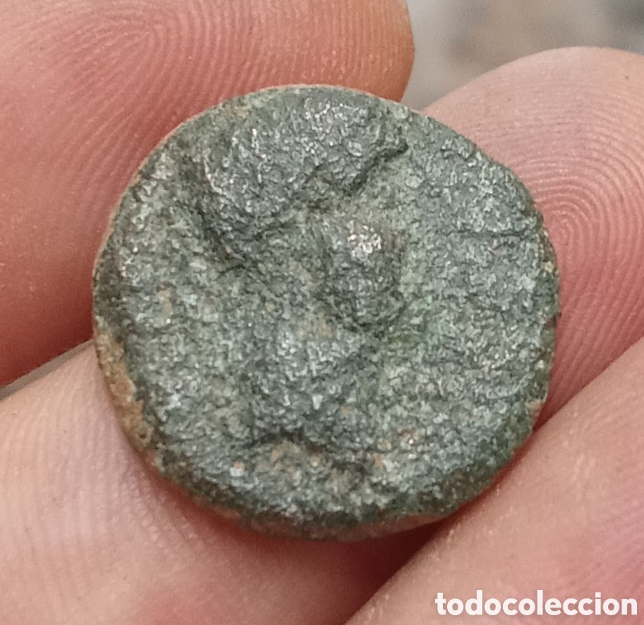 Monedas ib&eacute;ricas: MONEDA IB&Eacute;RICA ANTIGUA