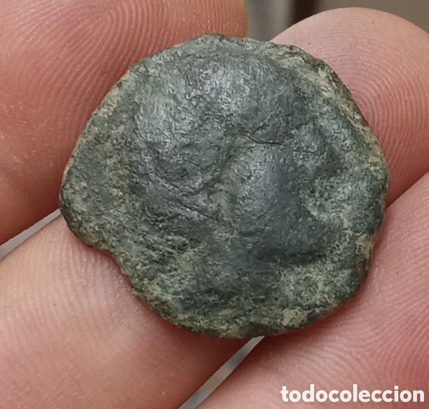 Monedas ib&eacute;ricas: MONEDA IB&Eacute;RICA ANTIGUA