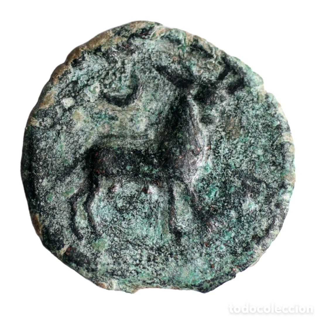 Monedas ib&eacute;ricas: SEMIS CASTULO CAZLONA (JAEN) 180-150 A.C. AB 720