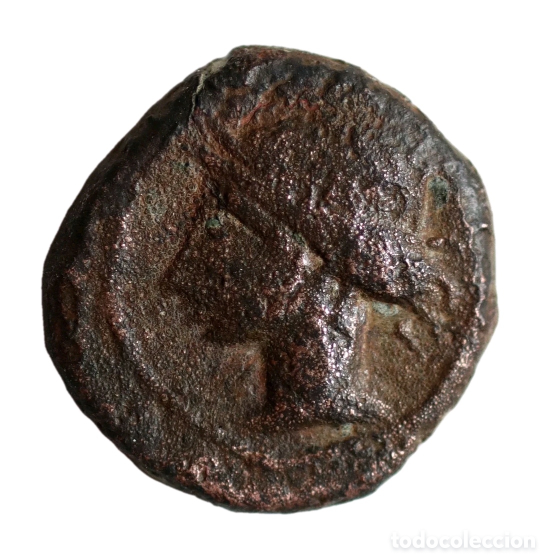 Monedas ib&eacute;ricas: 1/4 DE CALCO CARTAGINES 200 A.C. CARTAGONOVA