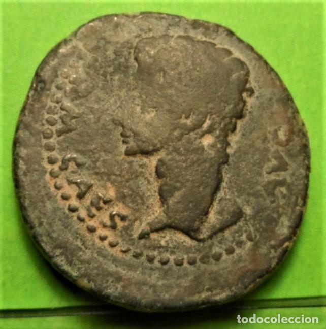 Monnaies ib&eacute;riques: IULIA TRADUCTA, Algeciras (Cadiz) Dupondio, A.B.-1610, 33 mm, 26,4 grs, RARA