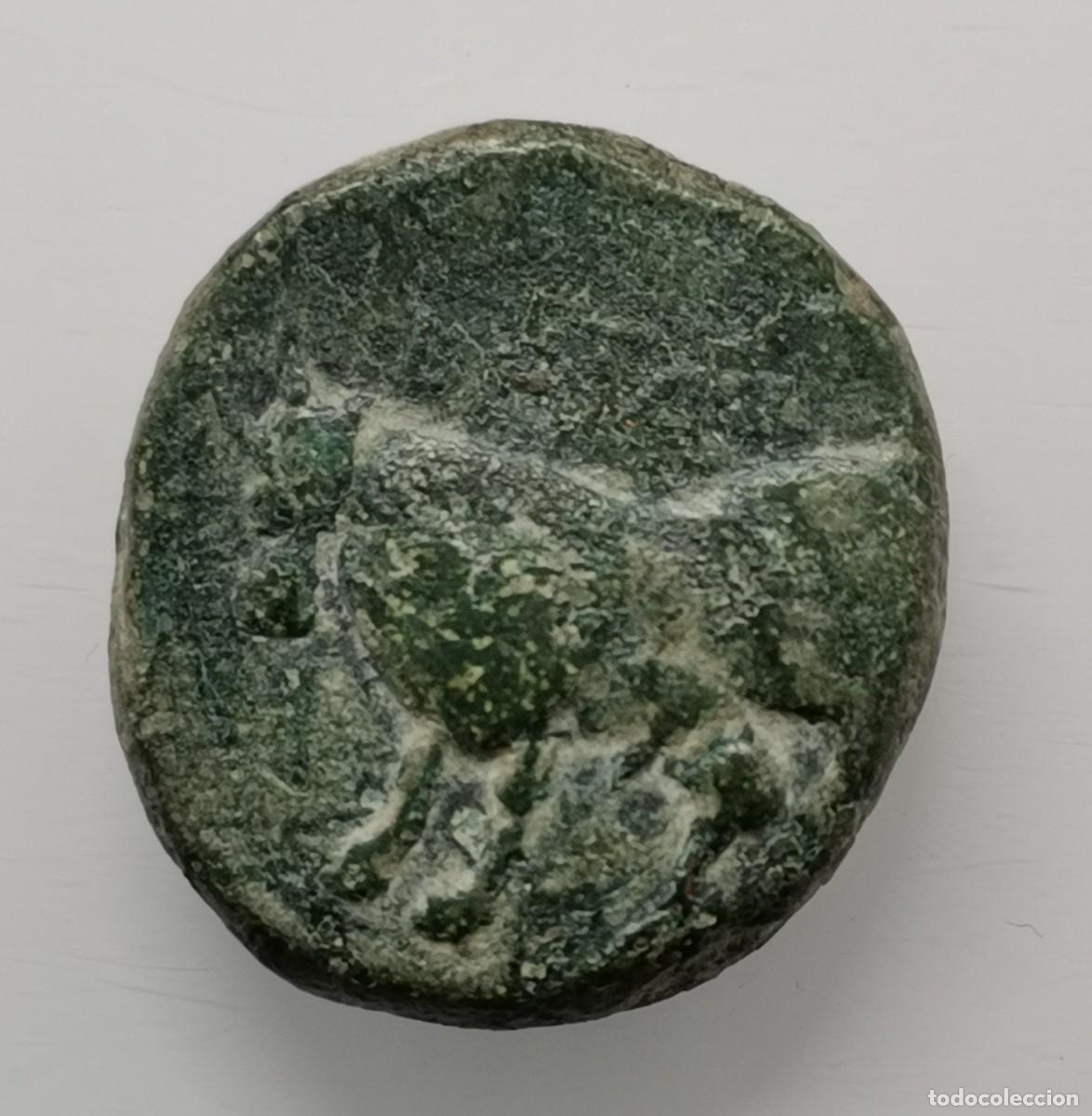 Monedas ib&eacute;ricas: SISIPO - SEMIS Hispania Antigua, (entre 50 Y 20 a.C.) zona sur de Andaluc&iacute;a.