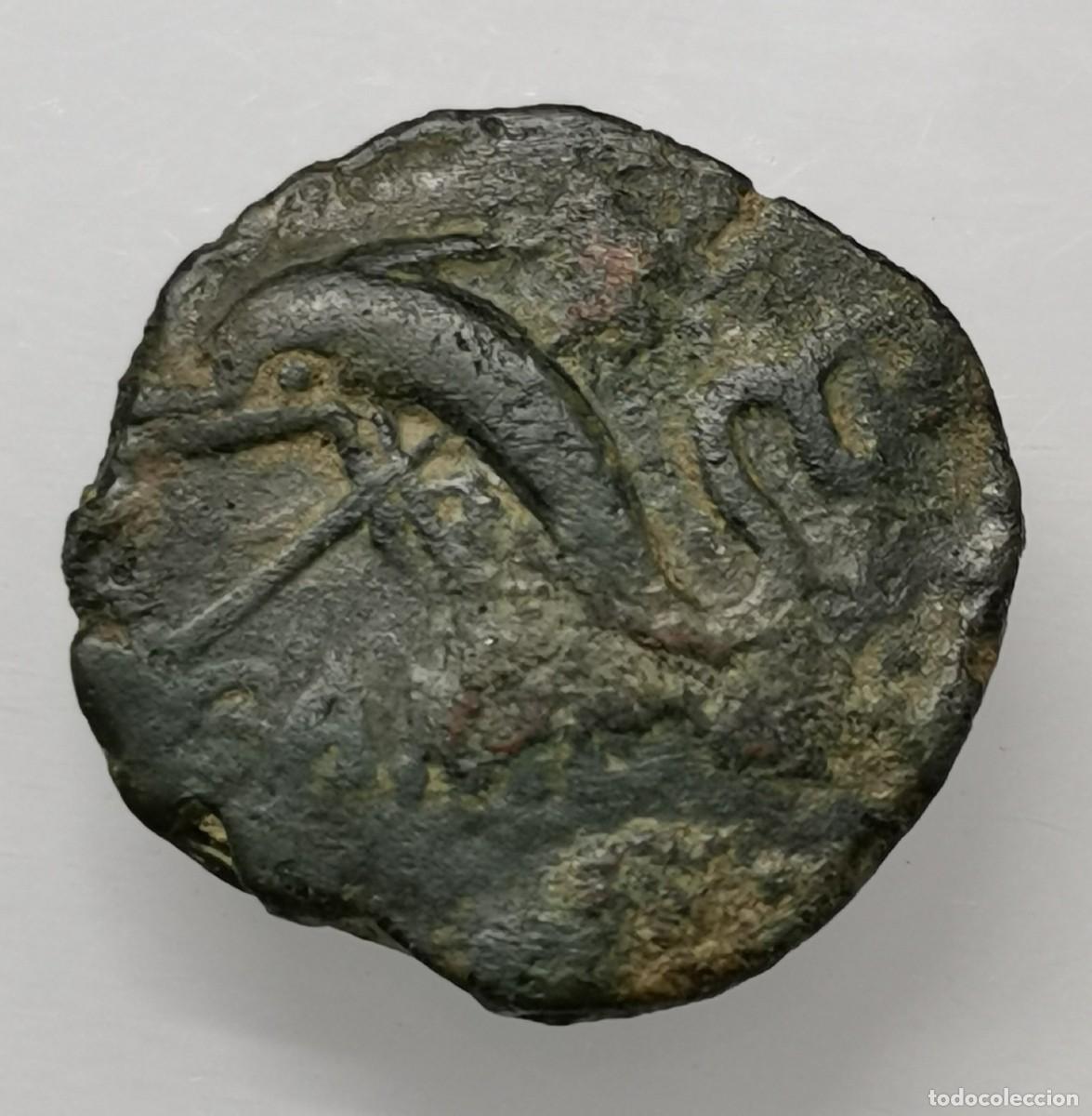 Monedas ib&eacute;ricas: SEMIS DE CARTEIA (SAN ROQUE) - DELF&Iacute;N Y TIM&Oacute;N - &Eacute;POCA DE AUGUSTO (27a.C. a 14a.C