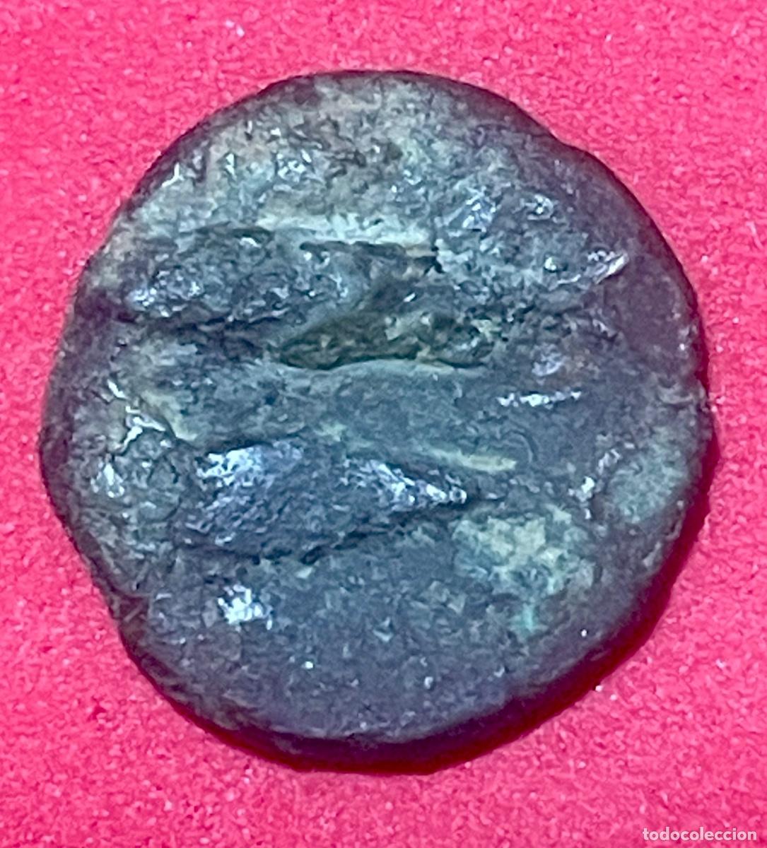 Monedas ib&eacute;ricas: MONEDA IBERICA. Gadir - Foto 2