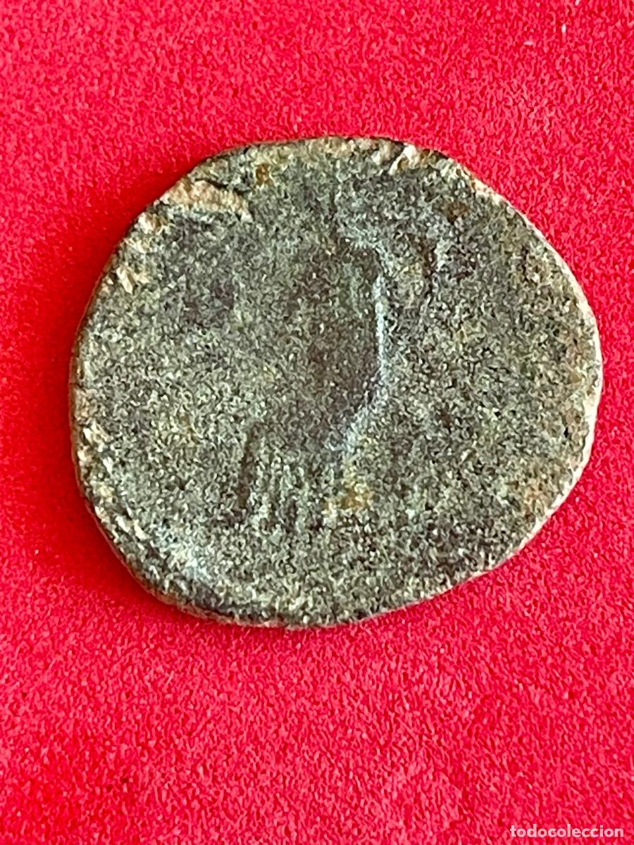Monedas ib&eacute;ricas: MONEDA IBERICA. IRIPPO - Foto 2