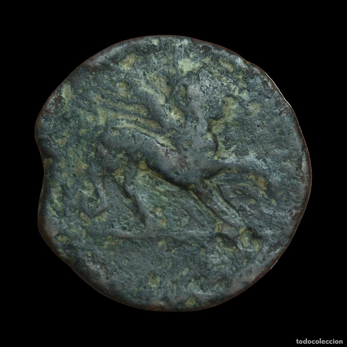 Monedas ib&eacute;ricas: NT/ AS IBERICO CASTULO 19,3 GRS (A1064) - Foto 2