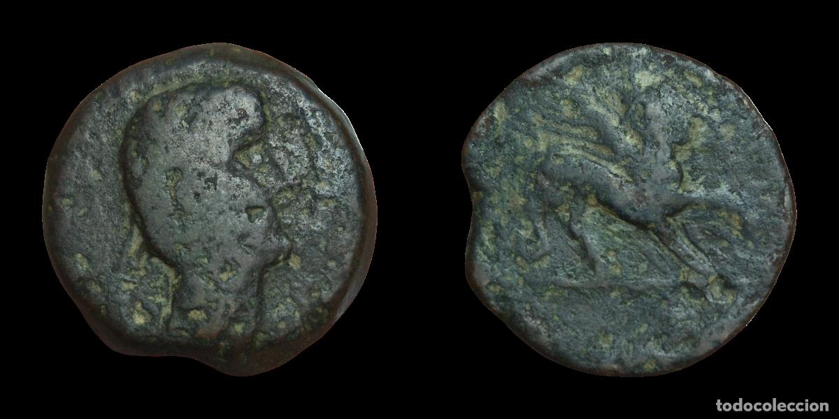 Monedas ib&eacute;ricas: NT/ AS IBERICO CASTULO 19,3 GRS (A1064) - Foto 3
