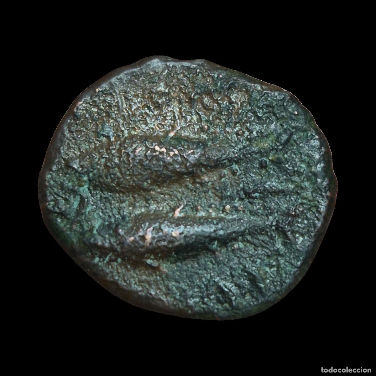 Monedas ib&eacute;ricas: NT/ SEMIS IBERICO GADES (A1060) - Foto 2