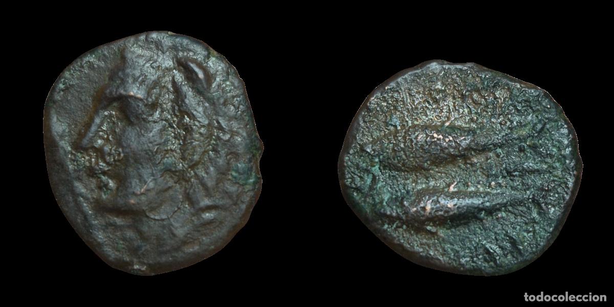 Monedas ib&eacute;ricas: NT/ SEMIS IBERICO GADES (A1060) - Foto 3