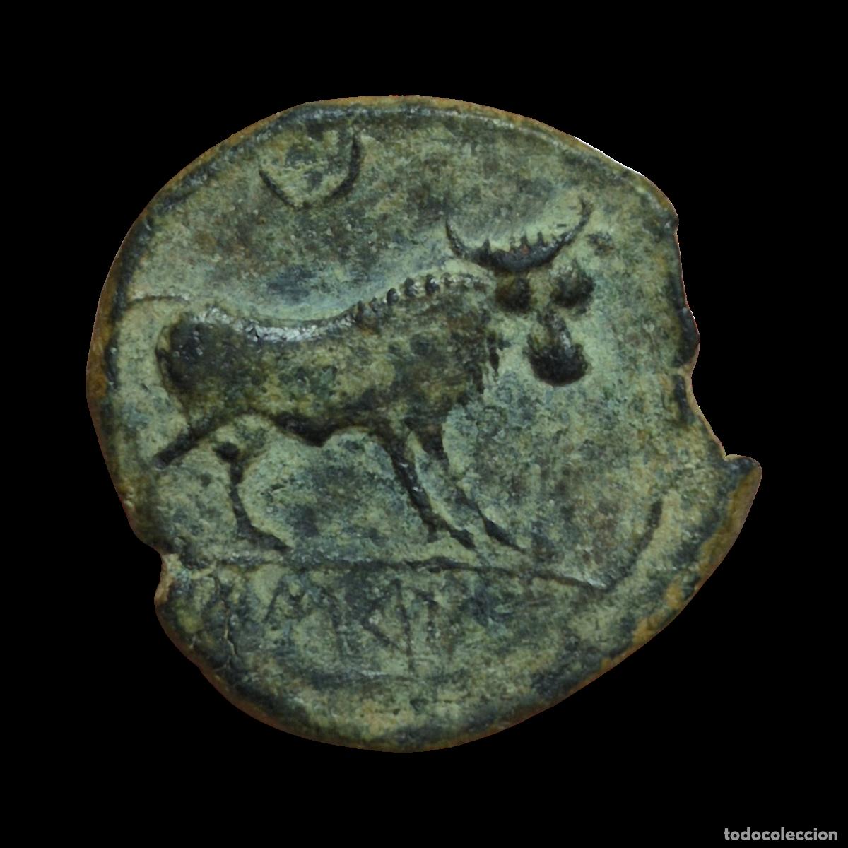 Monedas ib&eacute;ricas: NT/ SEMIS IBERICO CASTULO BONITO (A1059) - Foto 2