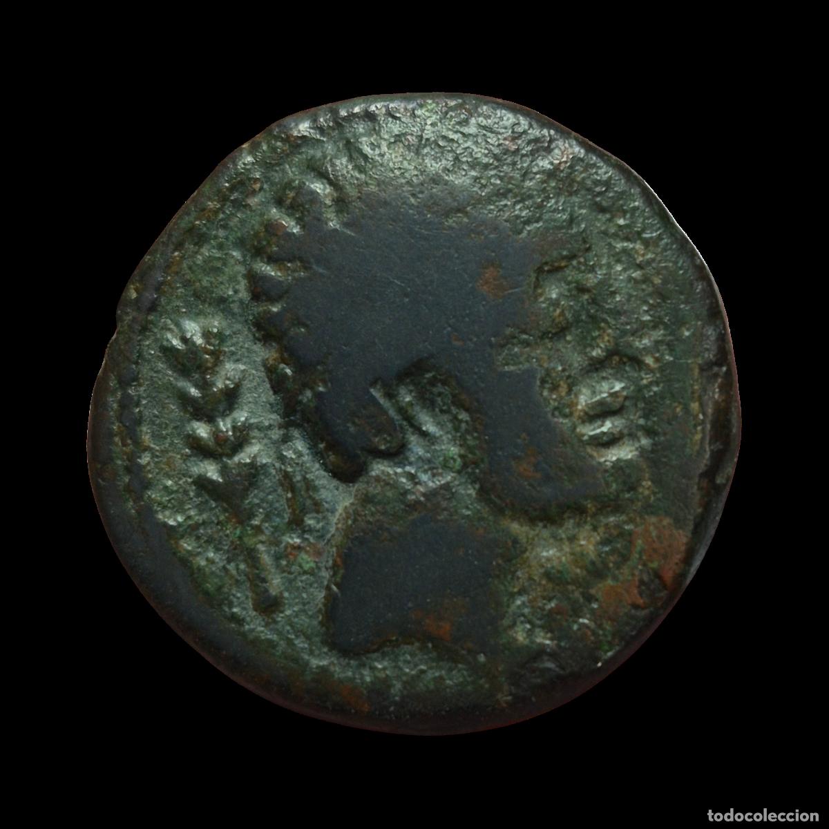 Monedas ib&eacute;ricas: NT/ AS IBERICO SAITI (A916) - Foto 1