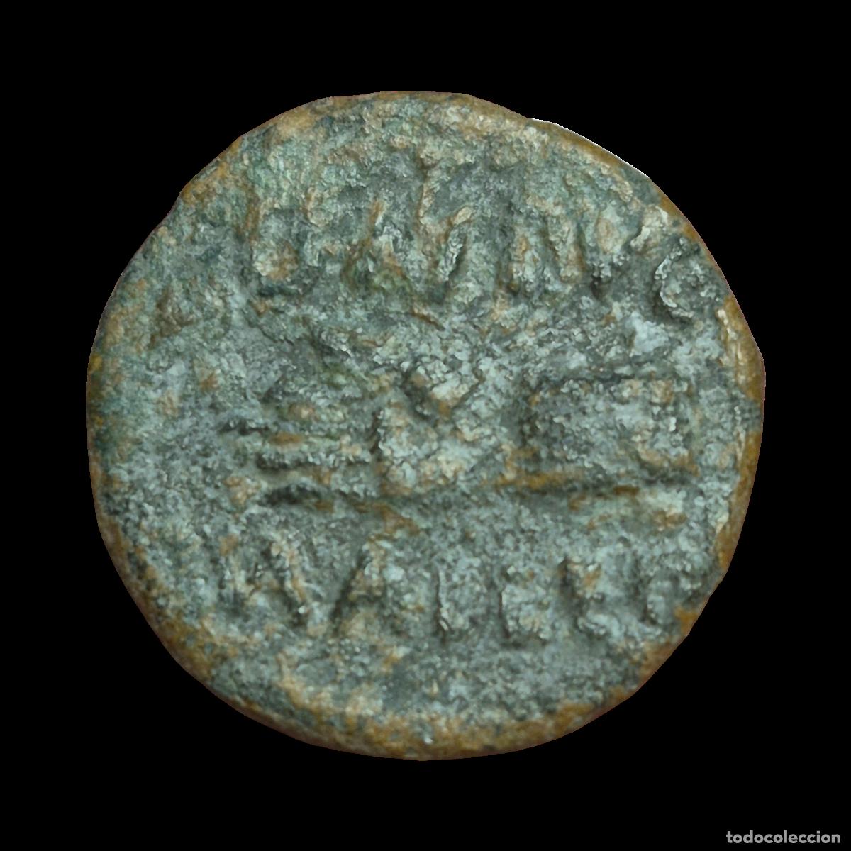 Monedas ib&eacute;ricas: NT/ SEMIS IBERORROMANO AUGUSTO CARTAGONOVA ESCASO (A1066)