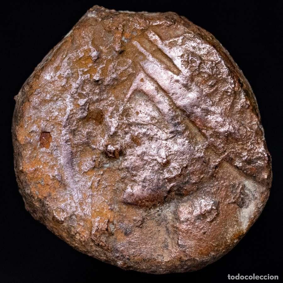 Monedas ib&eacute;ricas: Hispania - Cartagineses, calco de bronce. Tanit / cabeza de caballo