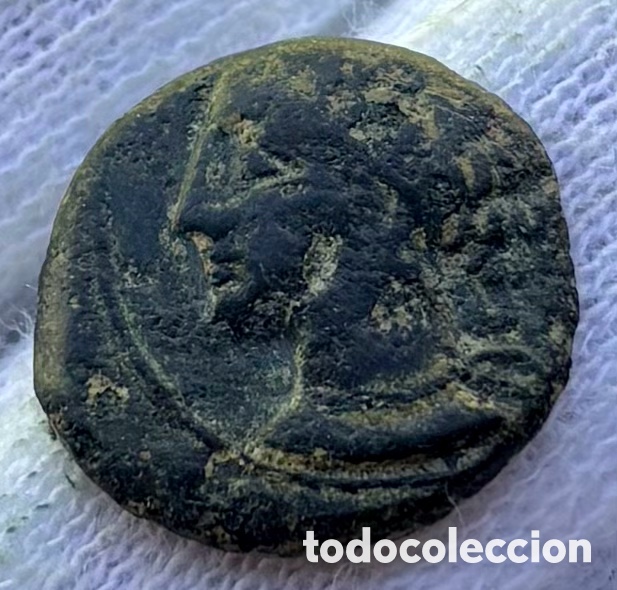 Monedas ib&eacute;ricas: Moneda Cartaginesa. Cartago 1/2 Calco (220-215 a.C) Caballo