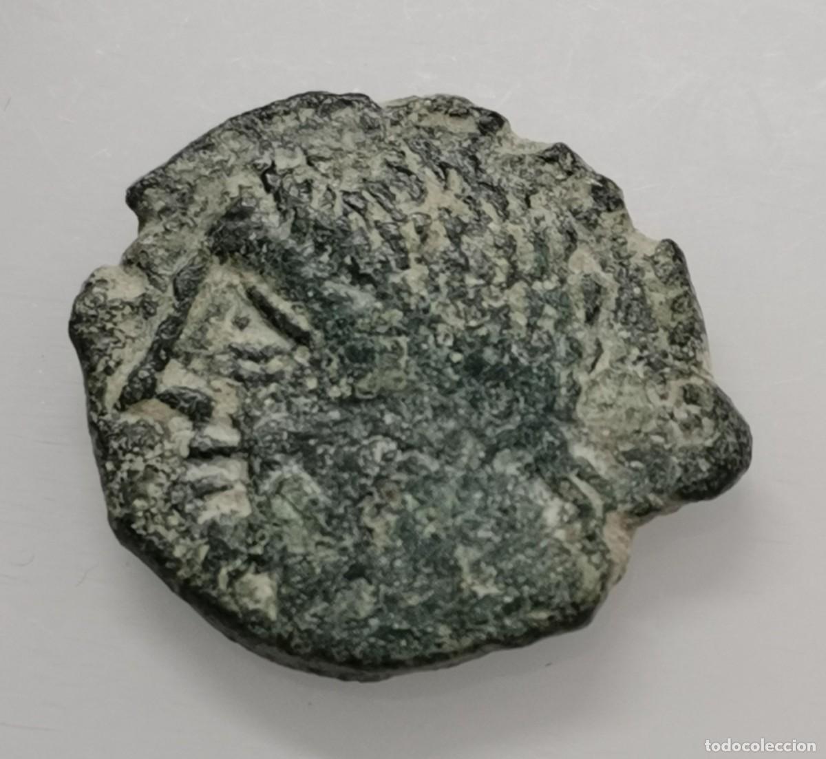 Monedas ib&eacute;ricas: CARTEIA - SEMIS - Cabeza de J&uacute;piter y Delf&iacute;n - V VIB AID - (80-20 a.C.)