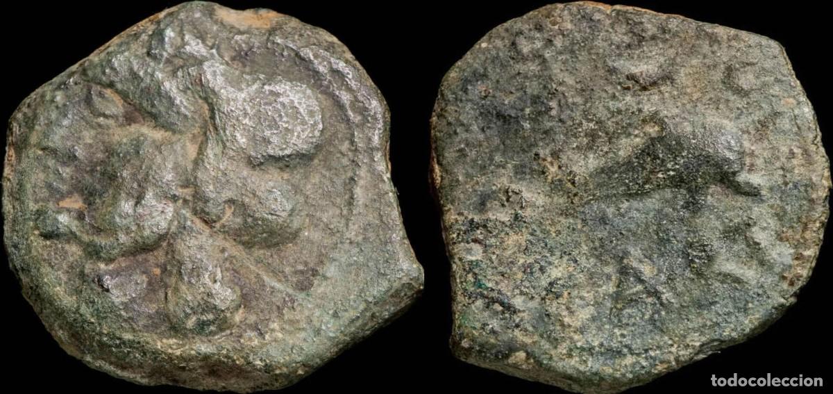 Monedas ib&eacute;ricas: Semis de Carteia, San Roque (Cadiz) - 24 mm / 10.19 gr.