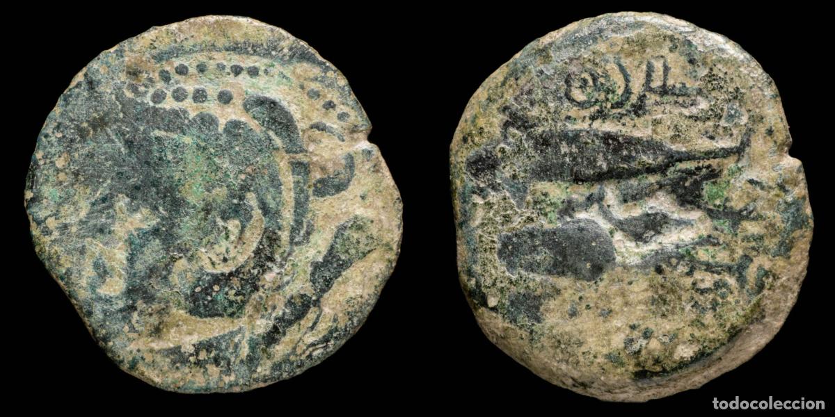 Monedas ib&eacute;ricas: Ancient Hispania - Gades (Cadiz), Ae As, countermark Dolphin - 27 mm / 7.56 gr.