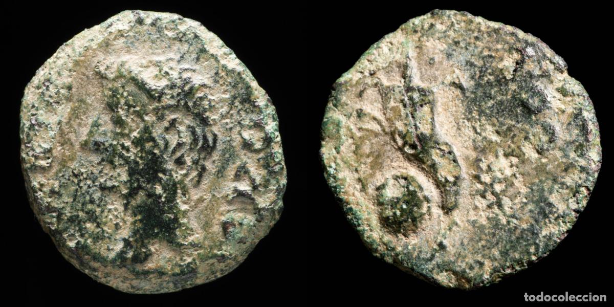Monedas ib&eacute;ricas: Ancient Hispania - Colonia Romula (Sevilla) Ae Quadrans - 18 mm / 3.67 gr.