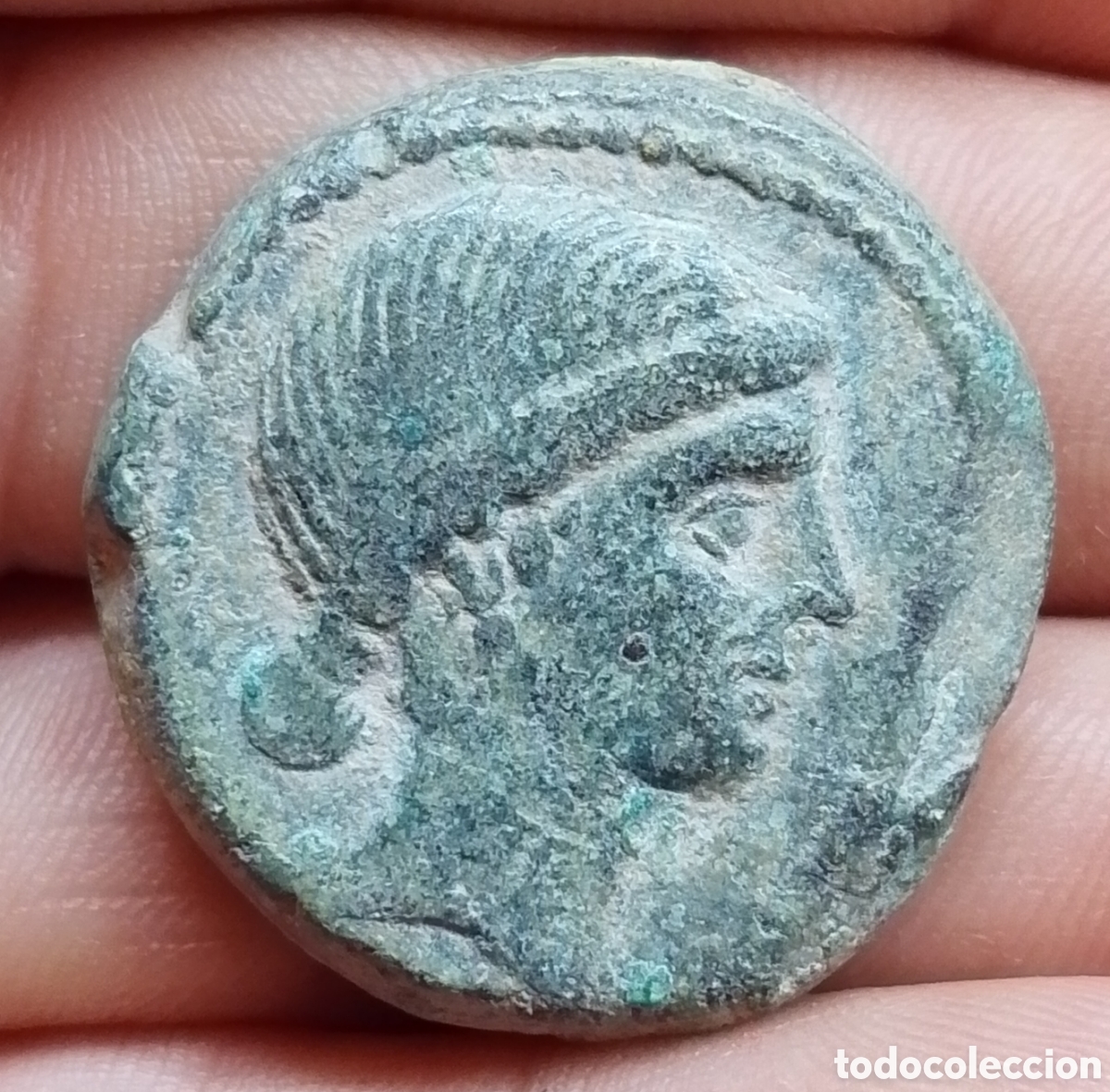 Monedas ib&eacute;ricas: Obulco as arado y espiga Obulco en cartela variante busto grande