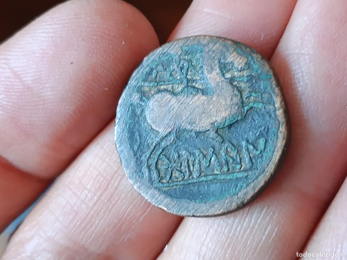 Monedas ib&eacute;ricas: As ib&eacute;rico de Bolskan, Huesca - Foto 2