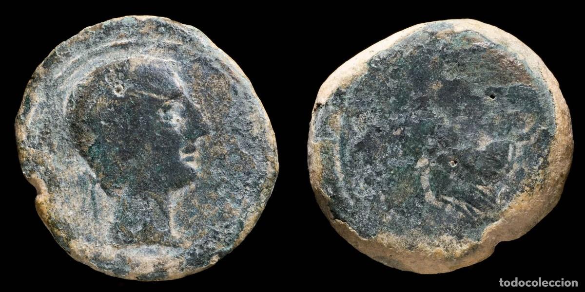Moedas ib&eacute;ricas: As de Castulo, Cazlona (Ja&eacute;n) - 28 mm / 20.11 gr.