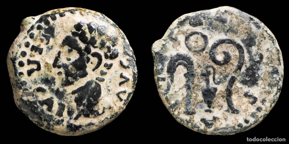 Monedas ib&eacute;ricas: Ancient Hispania - Colonia Patricia (Cordoba) Ae Quadrans - 16 mm / 2.46 gr.