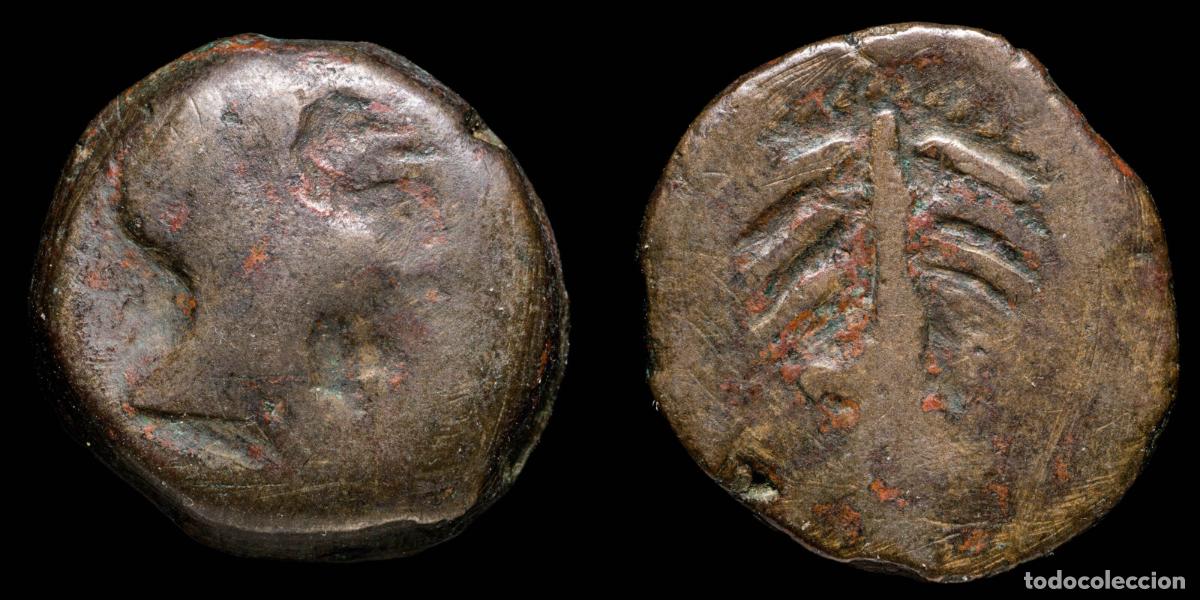 Monedas ib&eacute;ricas: Ancient Hispania - Baria, Villaricos (Almeria) Ae As - 26 mm / 19.42 gr.