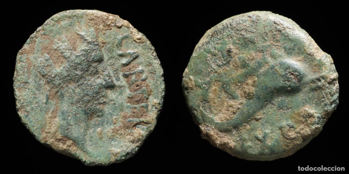 Monedas ib&eacute;ricas: Ancient Hispania - Carteia, San Roque (C&aacute;diz) - 19 mm / 3.50 gr.