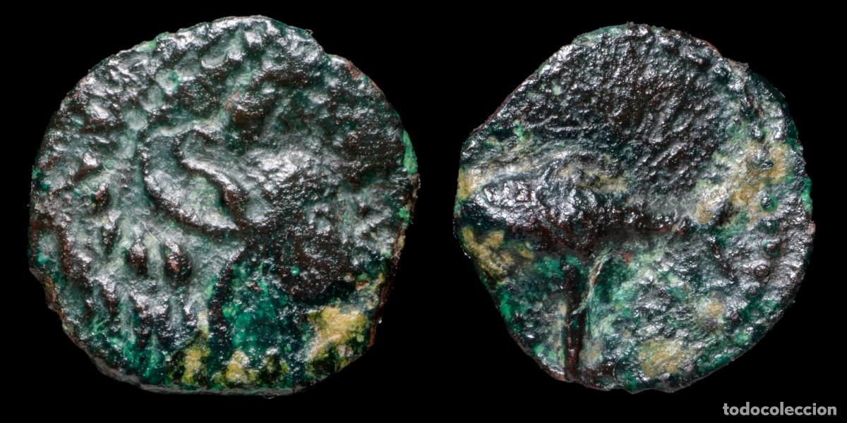 Monedas ib&eacute;ricas: Ancient Hispania - Gades (Cadiz), Ae 1/8, Rare, Melkart on the right - 11 mm / 0.46 gr.